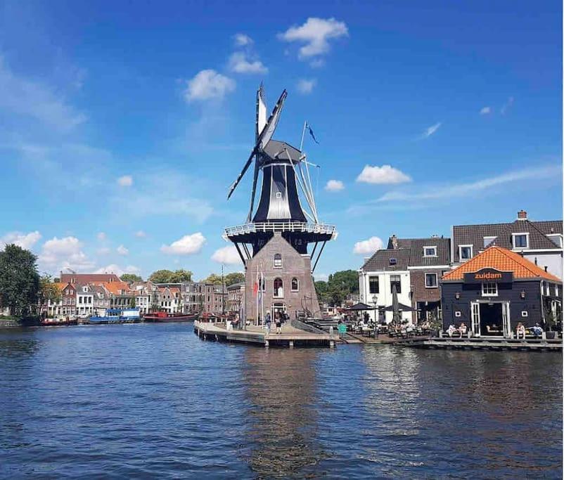 Appartement Met Tuin In Haarlem Centrum Экстерьер фото
